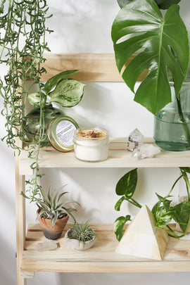 Wooden shelf with plants, candles, and crystals against a white wall