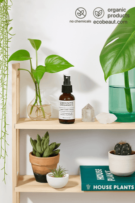 Organic toilet spray bottle displayed on wooden shelf with houseplants and crystals – ecobeaut.com