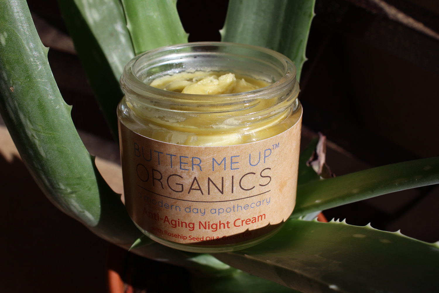 Jar of 'Butter Me Up Organics' night cream with aloe vera leaves in the background