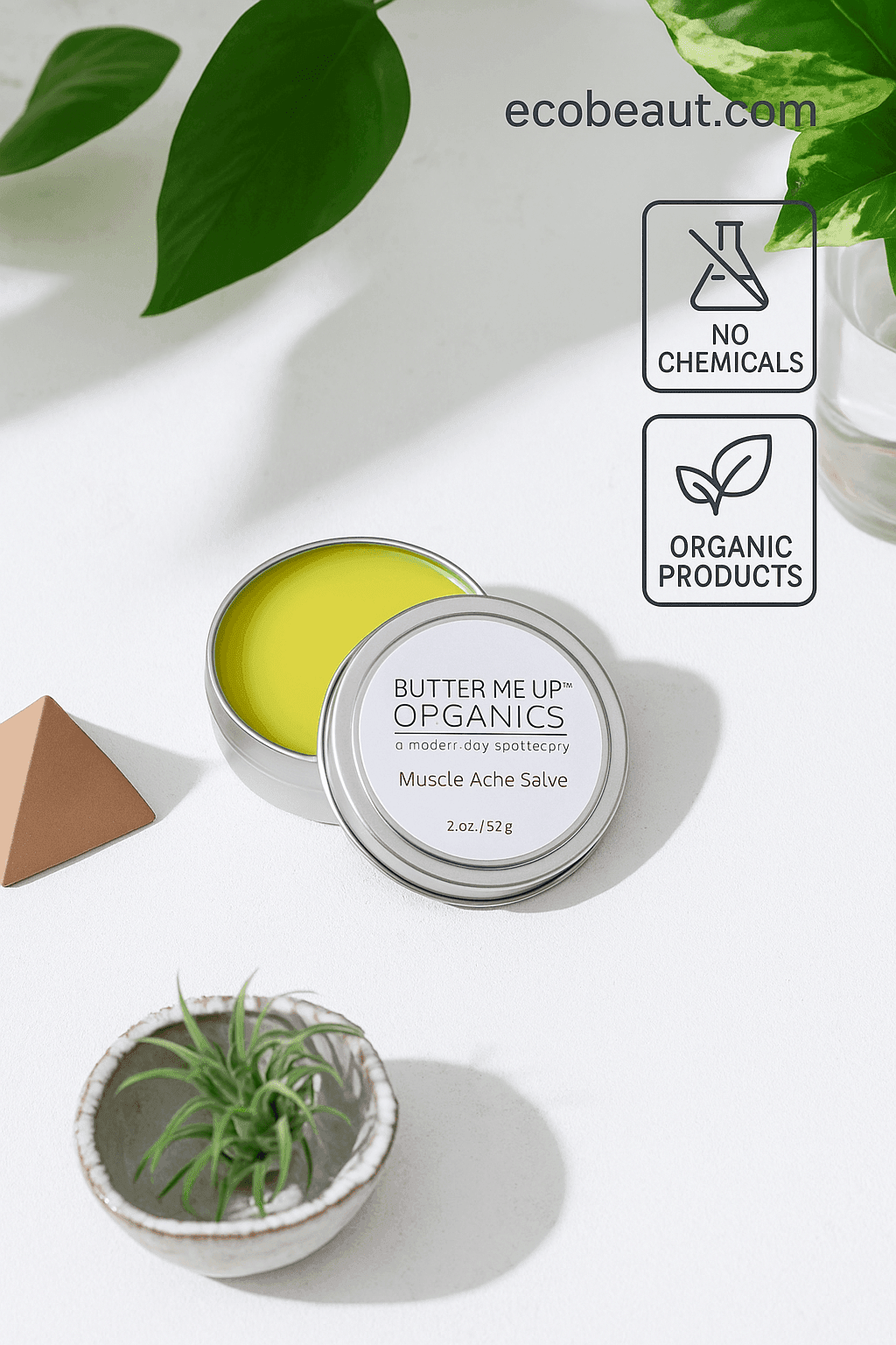 Butter Me Up Organics muscle ache salve in a tin with green leaves and a plant on a light background.